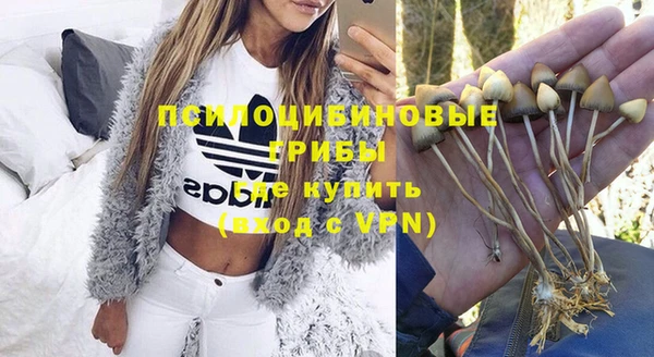 таблы Михайловск