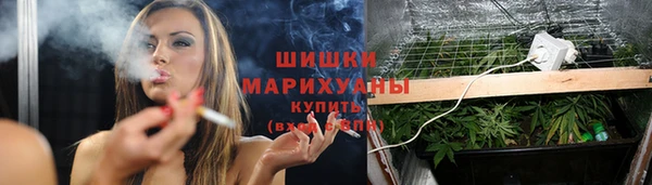 индика Мегион