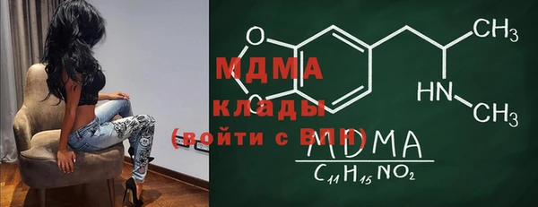 индика Мегион