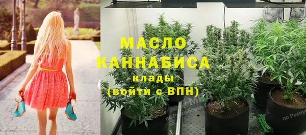 индика Мегион