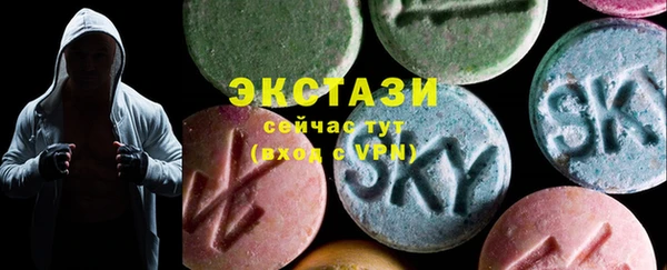индика Мегион