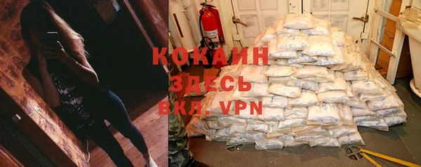 индика Мегион