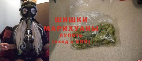 индика Мегион