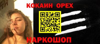 индика Дубна