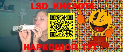 кокс Донской