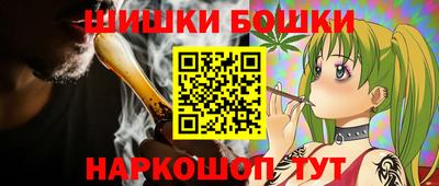 индика Дубна