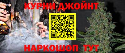 кокс Донской