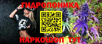 экстази Гай