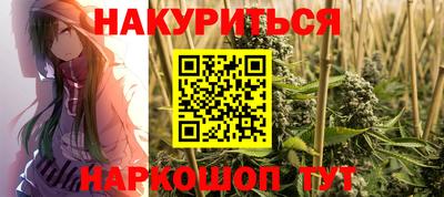 индика Дубна