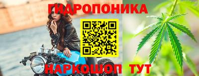 индика Дубна