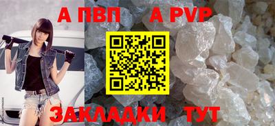 кокс Донской